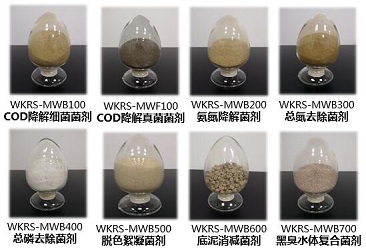 壹号娱乐官网-相信品牌力量
