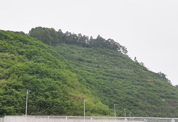 壹号娱乐官网-相信品牌力量